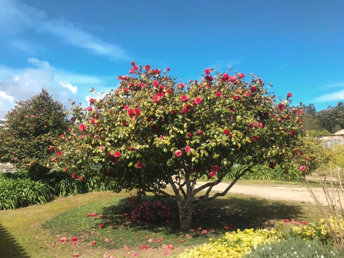 קוימברה Palacio Da Quinta Da Portela II מראה חיצוני תמונה
